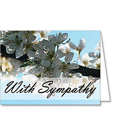 Cards: Apple Blossom Greeting Card